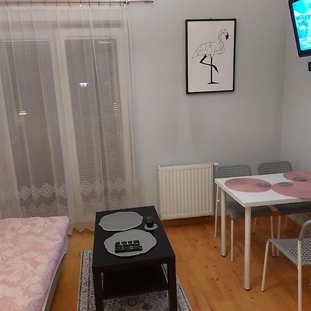 Homelyapartment Krasków Dış mekan fotoğraf