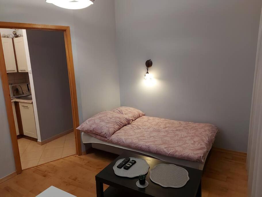 Homelyapartment Krasków Dış mekan fotoğraf