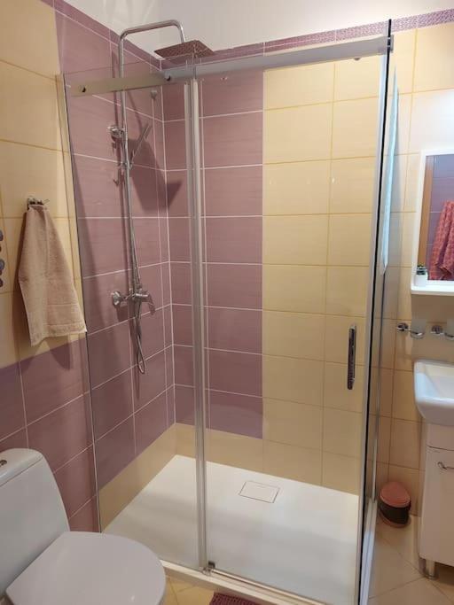 Homelyapartment Krasków Dış mekan fotoğraf