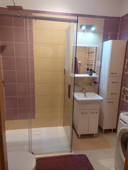 Homelyapartment Krasków Dış mekan fotoğraf