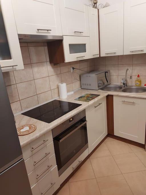Homelyapartment Krasków Dış mekan fotoğraf