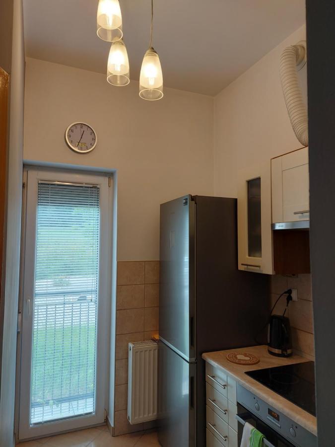 Homelyapartment Krasków Dış mekan fotoğraf